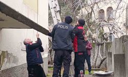 Çatı katında mahsur kalan kediyi polis ve itfaiye kurtardı