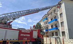 Çatıya takılan kuşu itfaiye kurtardı