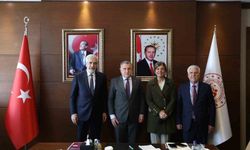 Çermik'e olimpik yüzme havuzu yapılıyor