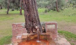 Çeşmeden maden suyu içmek isteyen vatandaşlar Laçin'e geliyor