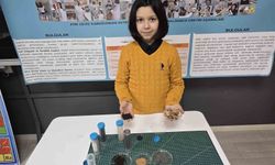 Ceviz kabuğundan yalıtım malzemesi geliştirdi, hedefinde Türkiye birinciliği var