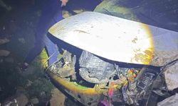 Cizre'de kamyonet şarampole uçtu: 1 ağır yaralı