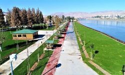 Cizre'de parkta uygunsuz hareketlerde bulunan şahıslara adli işlem