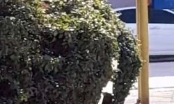 Çocuk parkı içinde sigara içen çocuklar kamerada