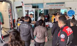 Datça'da Haluk Laçin'e yönelik silahlı saldırıyla ilgili 2 kişi gözaltına alındı