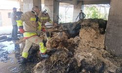 Defne'de samanlık yangını