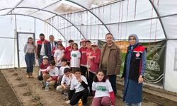 Demirkent TOKİ İlkokulu'nda öğrenciler serada fide dikti