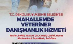 Denizli'nin veteriner danışmanlık hizmeti projesinde yeni dönem başlıyor