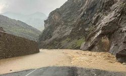 Derecik-Şemdinli kara yolu 2 gündür kapalı