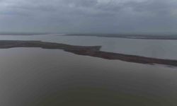 Devegeçidi Baraj Gölündeki kara parçası bir ayda suyla kaplandı