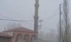 Diyadin'de nisan karı