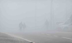 Diyarbakır'da sis görüş mesafesini 20 metreye kadar düşürdü
