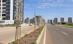 Diyarbakır'da yeşil dönüşüm: 5 bin ağaç dikildi