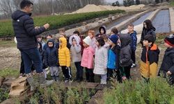 Düzce' de minik eller büyük ormanlar oluşturmak için çalıştı