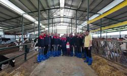 Düzce DERİM uygulamasında pilot il oldu