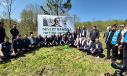 Düzce'de Devlet Bahçeli Hatıra Ormanı'na fidan dikildi