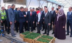 Erzincan'da tarımsal üretimi artıracak proje yerinde incelendi