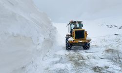 Erzurum kırsalında karla mücadeleye devam
