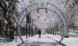Erzurum'da kar kenti yeniden beyaza bürüdü
