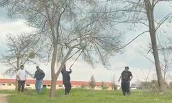 Eskişehir'de 'mangal için ağaç dalını kırmaya çalıştılar' iddiası