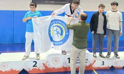 Eskişehir'de taekwondo müsabakaları sone erdi