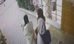 Ev fareleri kameraya yakalandı