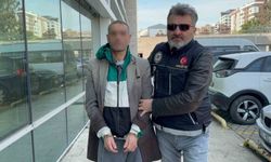 Evinde bonzai ele geçirilen şahıs tutuklandı