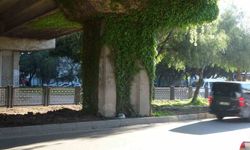 Feci kazada hayatını kaybeden kız, gelinlik ve duvakla uğurlandı