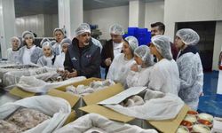 Geleceğin balıkçıları İzmir'de yetişiyor