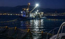 Gemlik Körfezi'nde sardalya avcılığı başladı
