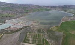 Göçmen kuşların uğrak mekanı, son yağışlarla doldu taştı