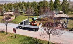 Gölbaşı Belediyesi'nden sivrisinek ve haşerelerle 12 ay kesintisiz mücadele