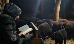 Gündüz hayvan bakıyor gece hayalleri için çalışıyor