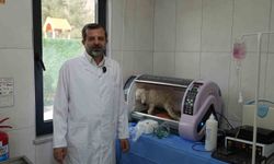 Gürsu Butik Hayvanat Bahçesi yeni sakinlerini ağırlıyor