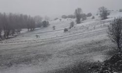 Halkapınar'da nisan ayında kar sürprizi