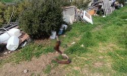 Hepsi zabıta ekiplerinin baskınında ortaya çıktı