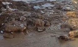 Heyelan nedeniyle kapanan Hasköy-Mutki yolu açıldı