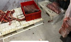 Hijyen kurallarının hiçe sayıldığı işletmeye 300 bin liranın üzerinde ceza