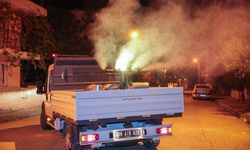 İncirliova'da sivrisinek ve haşereye karşı mesai sürüyor