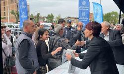 İncirliova'da vatandaşlara ücretsiz fide dağıtıldı