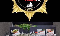 İzmir'de seraya çevirdiği evde kenevir yetiştiren şahıs tutuklandı