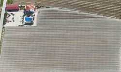 Kadın girişimciden tarımda akılcı çözüm