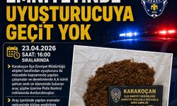 Karakoçan'da uyuşturucuyla mücadele: 1 gözaltı