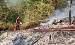 Kardeşini ahıra kilitleyip ateşe verdiği iddia edilen şahsın yargılamasına devam edildi