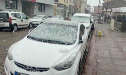 Karlıova'da nisan karı etkili oldu