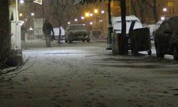 Kars'ta bahar yerini kışa bıraktı: Kar yağışı kenti beyaza bürüdü