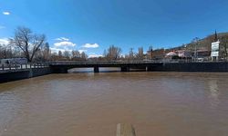 Kars'ta Bedesten Bölgesi'nde estetik tartışması