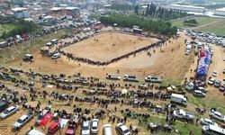 Kemalpaşa'da 3. Boğa Güreşi Festivali heyecanı