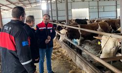 Kırklareli'nde besi çiftliği kontrolleri devam ediyor