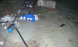 Konya'da domuz sürüsü yerleşim alanına indi